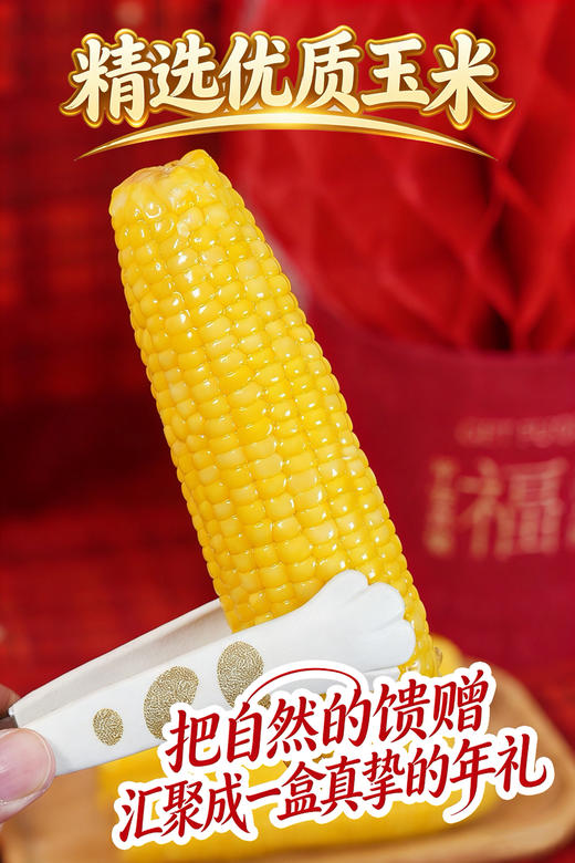 田里有草糯甜玉米 新年限定10根礼盒装 商品图8