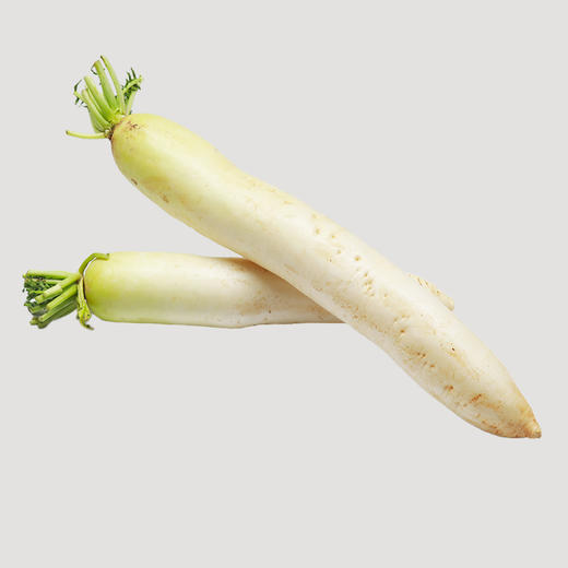 南华萝卜 商品图3