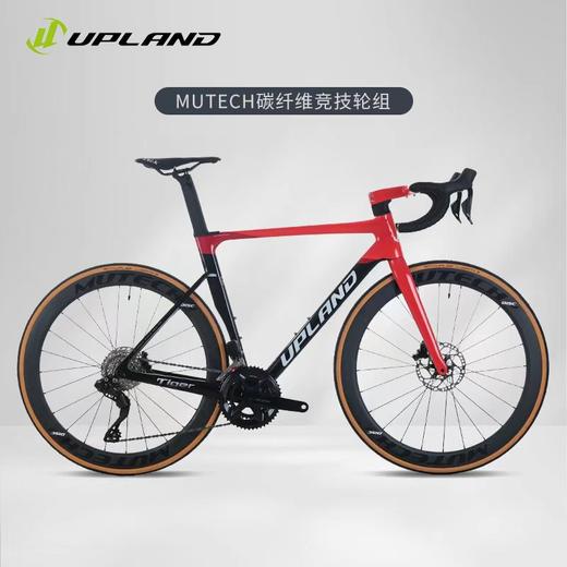 UPLAND（阿普兰）生肖虎系列105电变 公路自行车 商品图3