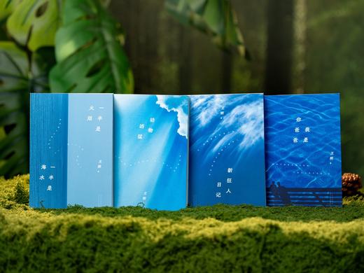 《王朔作品集》一次集齐王朔四大代表作，嬉笑怒骂间展现人间真实，万千年轻人的精神共鸣，文学狂人的至情至性全收录。 商品图7