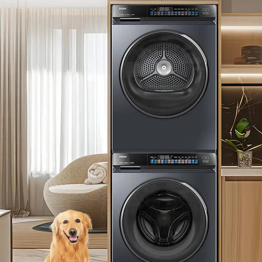 海尔（Haier）洗烘套装  EG100PRO89+EHGS100PRO89 商品图11