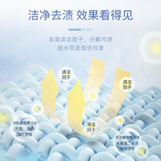 大公鸡管家衣领净 500ml 去污去黄白衣服顽固污渍克星 商品图4