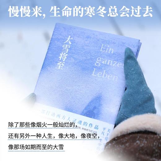 《大雪将至》刷边版 商品图1