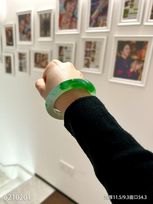 飘翠手镯【6210201】圈口54.3~具体价格微信咨询 商品图1