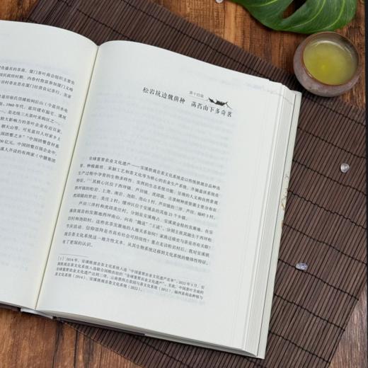 安溪传：这片土地上的人、祖先和信仰 商品图3