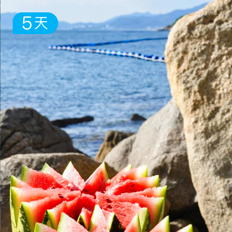 深圳鲲鹏80公里徒步大会| 山海进阶新线 仅此一期|6日