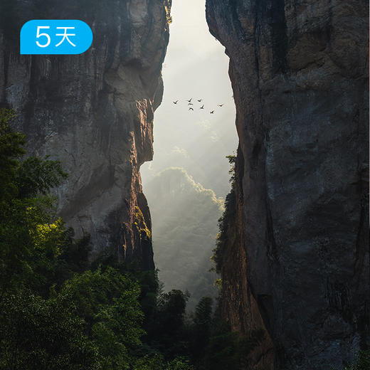 温岭海岛+雁荡山｜浙东南34公里徒步 “浙版麦理浩径” 16人小团 5日 商品图7