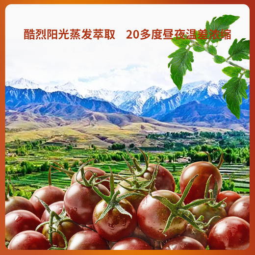 【大漠紫光高台黑番茄原浆】原汁原味家中常备天然好喝 纯原浆无添加 商品图7