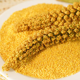 陕北米脂黄小米 1250g便携袋装/2000g礼盒装