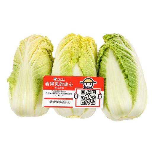 放心嫩嫩菜(娃娃仔) 200g/份 商品图4