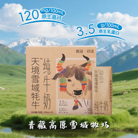天境雪域祁连山牧场 牦牛奶含量30%  200ml*10支