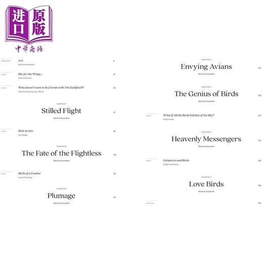 【中商原版】Birds: The Goldfinch Birds Art and Us 进口艺术 鸟类：金翅雀 鸟类 艺术与我们 商品图2