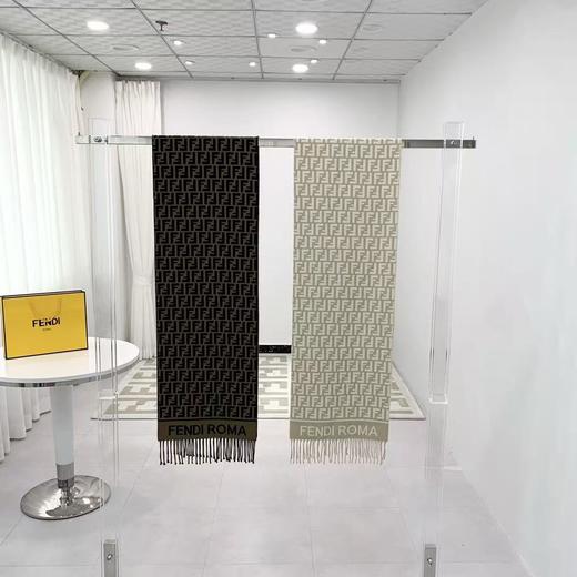 YP79-芬迪老花FF字母款(DSX) 商品图6