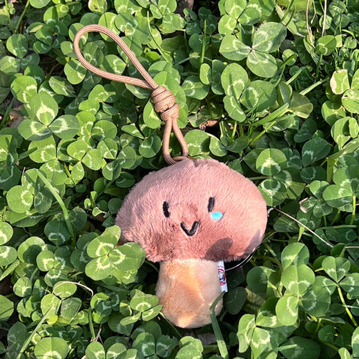 【地铁礼物】毛绒挂饰 商品图4