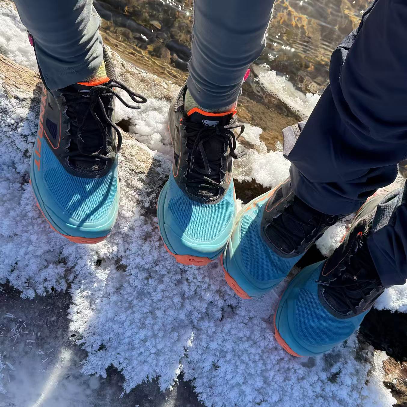 [拍大2码]Dynafit雪豹ALPINE减震透气轻便越野跑鞋64064/64065