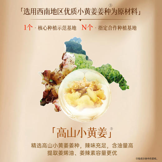 【超高性价比】鲜榨姜控油洗发水800ml 清爽控油 丰盈蓬松 商品图5