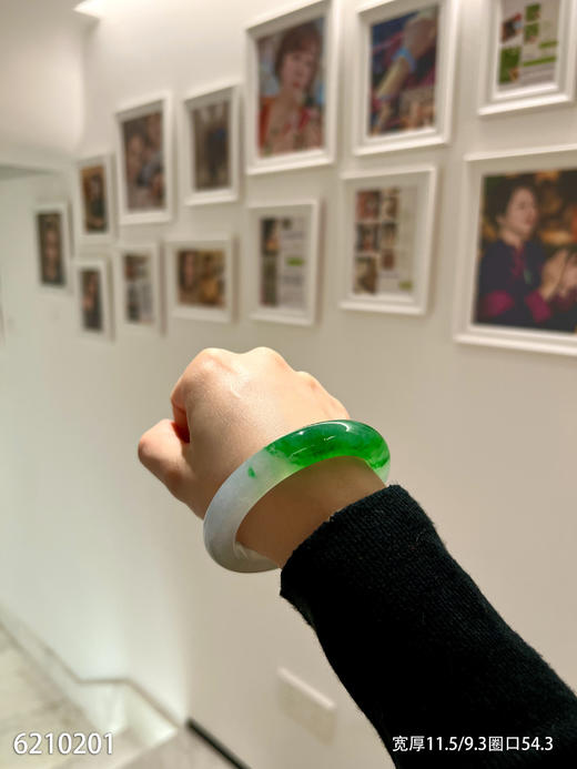 飘翠手镯【6210201】圈口54.3~具体价格微信咨询 商品图0