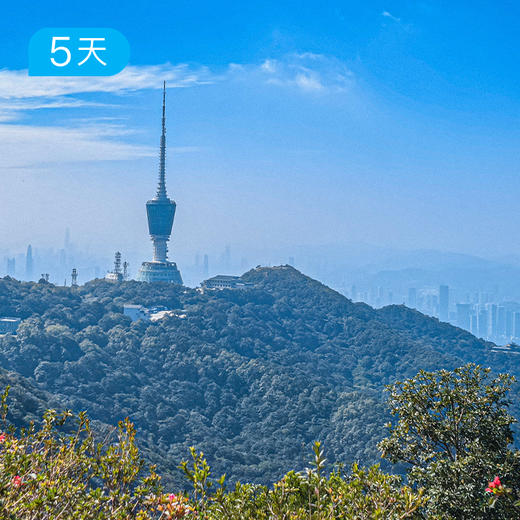 深圳｜鲲鹏径精华段连穿 2026最受瞩目的进阶级新线 5日 商品图7