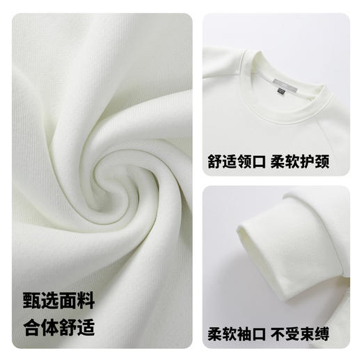 【含棉】圣得西2026年春季青年男款卫衣圆领套头休闲风柔软长袖 商品图4