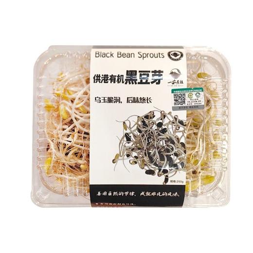 一茹景往 有机黑豆芽 200g/盒 商品图0