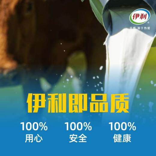 【伊利伊然纯牛奶】伊利品牌 国民好奶 口感纯正 5箱 商品图1