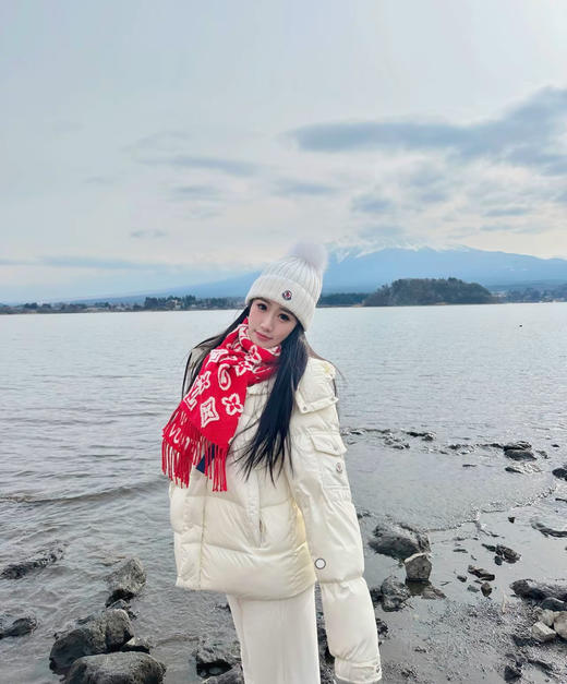 YP74-路易威登LV顶级图案山羊绒混纺毛字母花卉3D提花长巾披肩（DSX） 商品图5