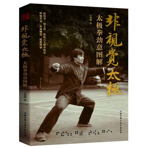 《非视觉太极—太极拳劲意图解》 商品图2
