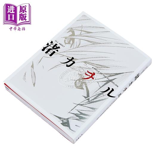预售 【中商原版】渚薰大全 新世纪福音战士渚薰写真集 EVA 日文原版日韩 ALL ABOUT 渚カヲル A CHILD OF 商品图1