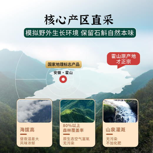 【现货】霍山铁皮石斛枫斗正品中药材养生煮茶泡水煲汤 商品图1