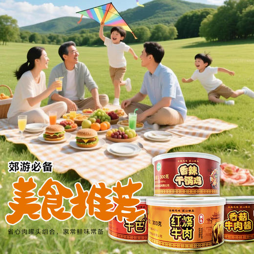 云南 绿星斋 清真牛肉罐头礼盒装 四种口味 300克/罐 4盒装 商品图1