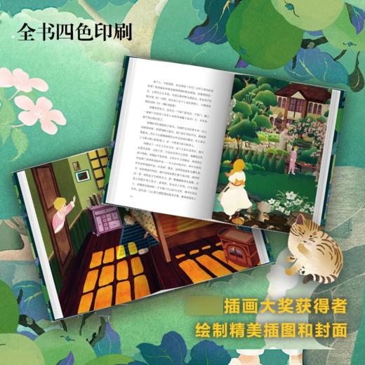《汤姆的午夜花园》全一册  7-14岁 卡尔基儿童文学奖、美国图书馆协会童书奖   宫崎骏挚爱的儿童经典读物 商品图3