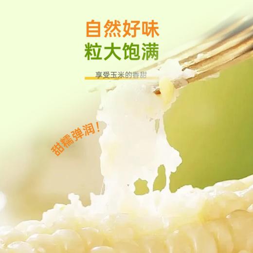 吾谷怡人低GI甜糯玉米220g*8 商品图2