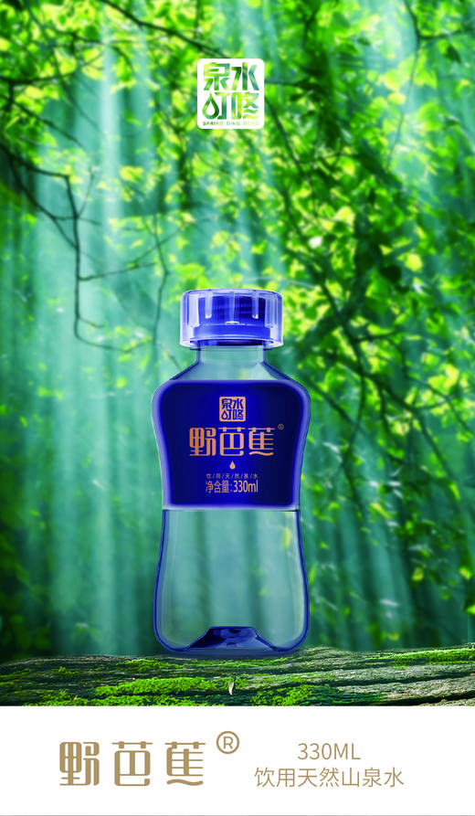 野芭蕉天然山泉水|饮料 泉水叮咚响 煮饭泡茶香 来自九万山原始森林 原生优质天然山泉水【4.4-4.8不发货，9号正常发货】 商品图1