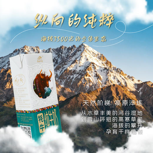 【尝鲜装】青藏祁莲祁连山牧场 牦牛奶含量≥80% 250ml*3支 商品图1