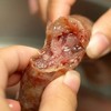 [最农公社]农家纯鲜肉原味香肠 无淀粉零添加手工腊肠 年味十足（能下单就能发货） 商品缩略图4