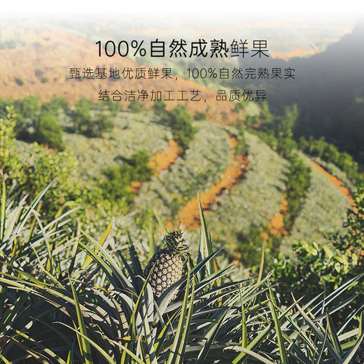 几分之几 自然食令果干礼盒 570g/盒 商品图2