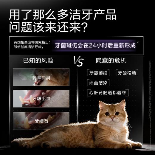 【卫仕仙气魔方主粮】双圈洁齿黑科技解决口腔护理猫粮1.5kg 商品图1