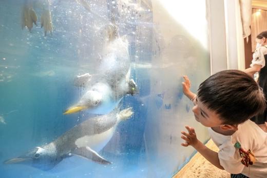 湖州龙之梦太湖古镇大酒店×2晚套餐·含国际大马戏+动物世界/冰雪小镇+演艺城+图影湿地 商品图5