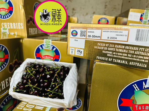 【次日达】澳洲塔斯马尼亚hamsen庄园车厘子 商品图10