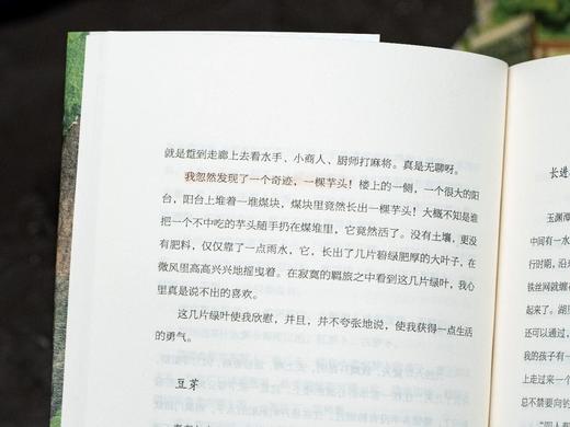 《汪曾祺·我与人间闲话片刻》(珍藏版全3册)，赠1： 2026年月历1套，赠2： 3张原版插画书签，赠3： 《桃花源记》小画1张和可涂画小卡2张， 商品图3