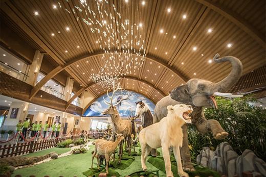 湖州太湖龙之梦欢乐世界大酒店×1晚套餐·含国际大马戏+动物世界/冰雪小镇 商品图2