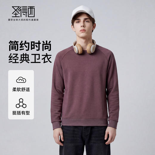 【含棉】圣得西2026年春季青年男款卫衣圆领套头休闲风柔软长袖 商品图0