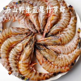 舟山野生蓝尾竹节虾 | 家宴C位 时令新鲜 到港直发 不包冰！足斤足两！ 虾肉紧实白嫩 口感鲜甜