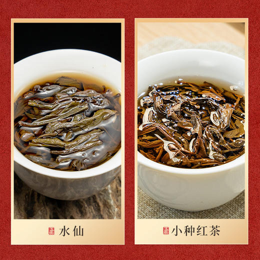 【春季茶礼】茶叶 武夷红茶 武夷水仙 乌龙茶 茶叶礼盒  喜财 茶饮 五虎 208g 商品图3