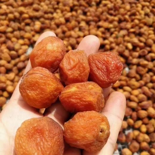 人气新品【自营】新疆61兵团大号吊干杏 树上自然成熟风干 开胃果品 商品图2