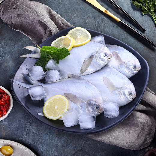 鲜到鲜得舟山海鲜礼盒 多款海鲜齐发 鲜嫩  海鲜 礼盒 商品图2