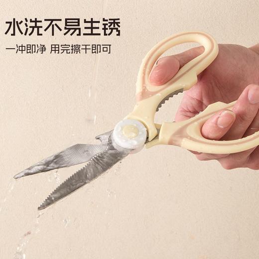 厨房多功能剪刀  家用不锈钢鸡骨剪子杀鱼烤肉全钢3.264 商品图6