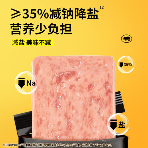Herlanze宝贝易餐 减钠*黑猪午餐肉240克（40克*6） 商品图2
