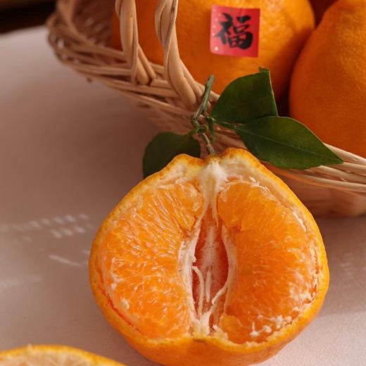 正宗眉山自然熟春见耙耙柑  果大皮薄肉质脆嫩 商品图4