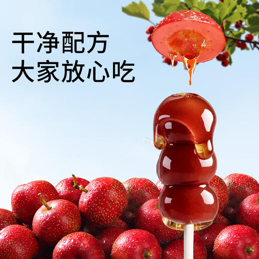 宝贝易餐山楂小葫芦108g 商品图2